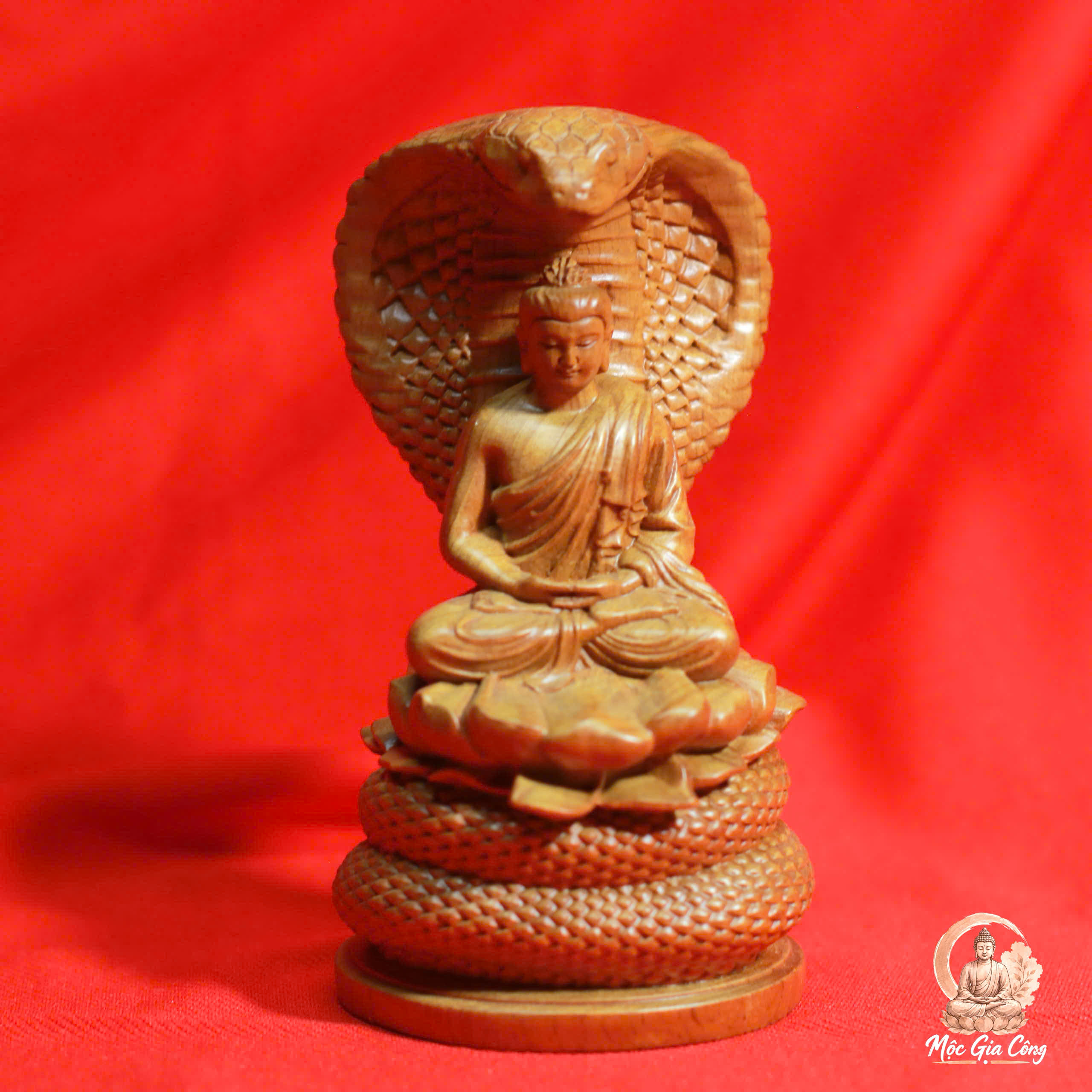 Thần Rắn Naga Gỗ Bách Xanh